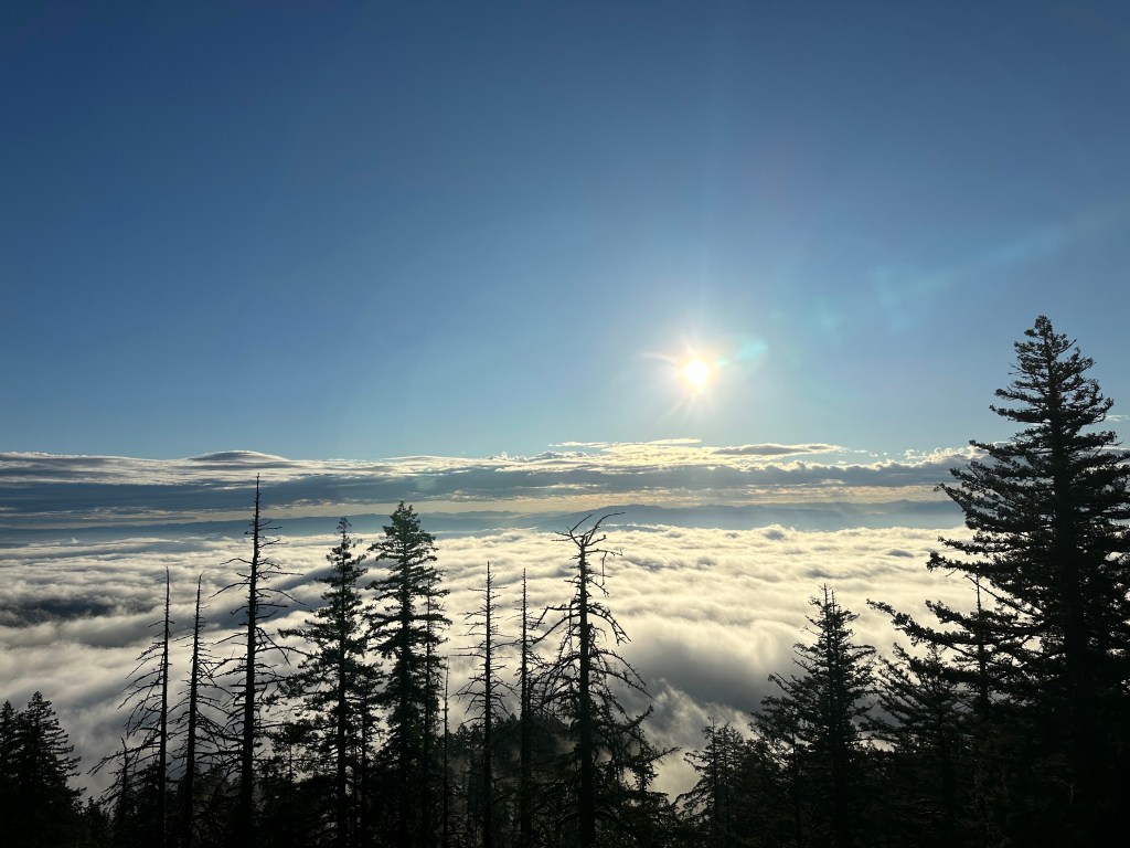 Obedience Through The&nbsp;Unknown